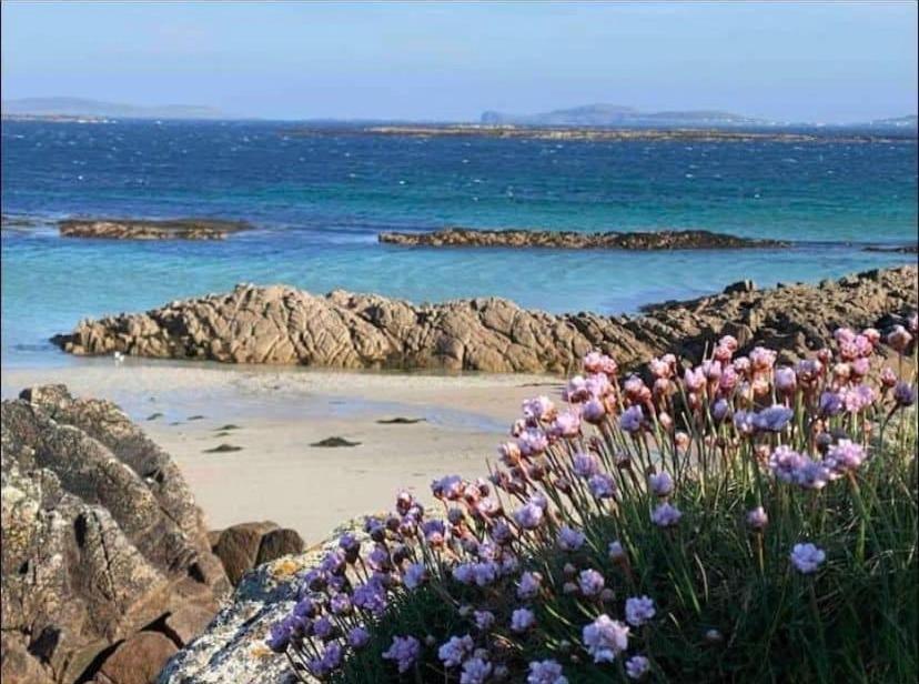 Drop Anchor House, Spacious 3 Bedroom Apartment, Fabulous Sea Views Cleggan Exterior photo